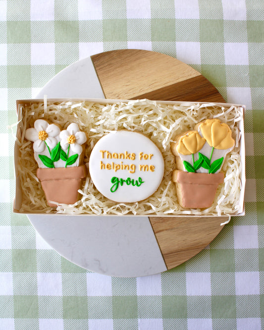 A teacher appreciation cookie box opened to show three cookies: a terracotta pot with white daisies, a round white cookie piped with ‘thank you for helping me grow’ in yellow and green royal icing, and a terracotta pot cookie with yellow flowers. The box is styled on a marble and wood platter with green and white checkered fabric underneath.