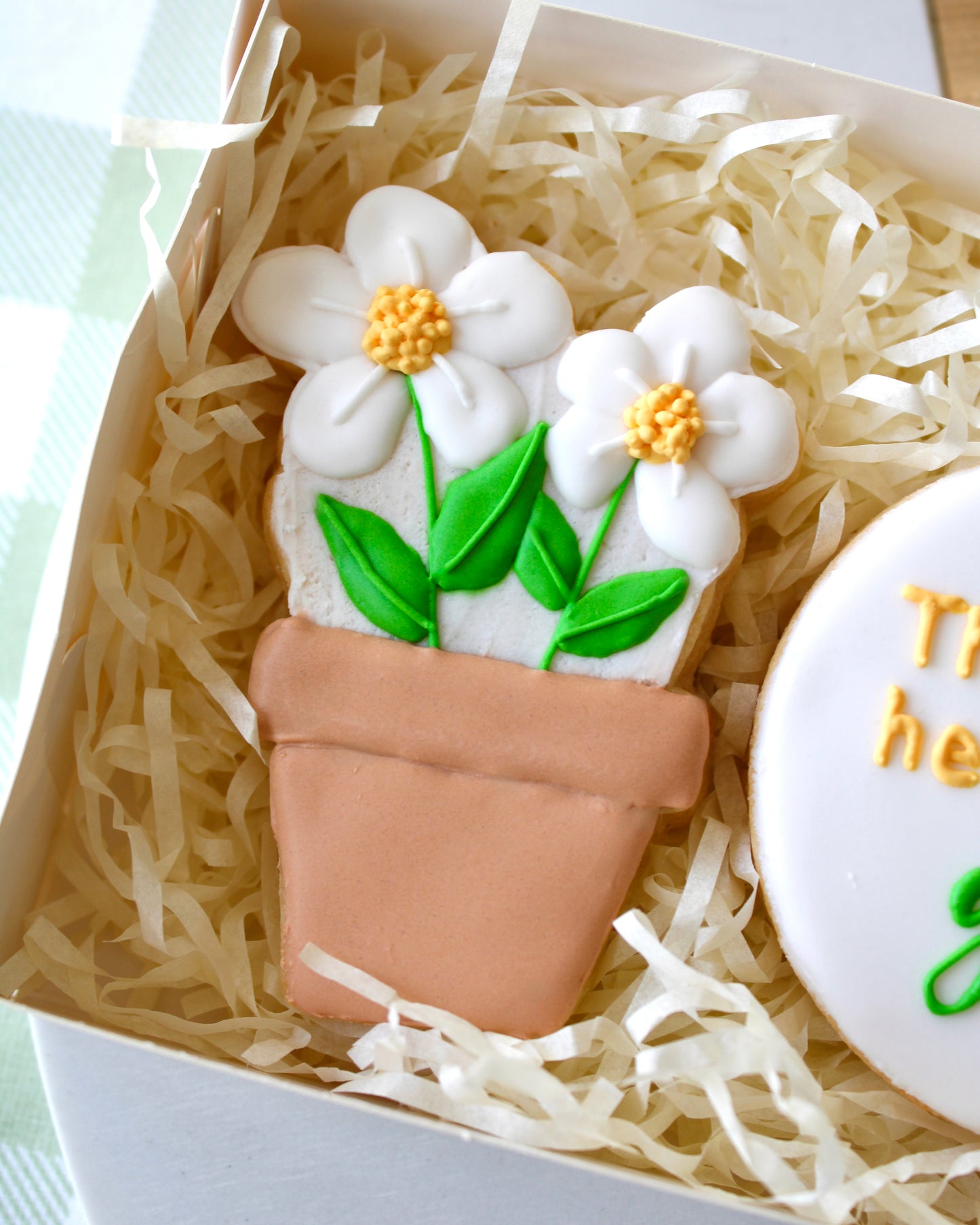 Close-up of a terracotta pot cookie decorated with white daisies, green leaves, and yellow flower centres.
